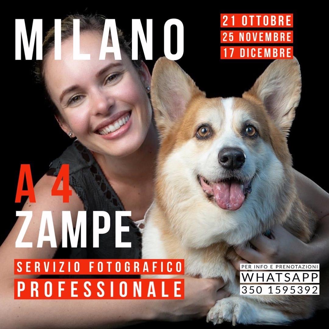 servizio fotografico pet elena messori