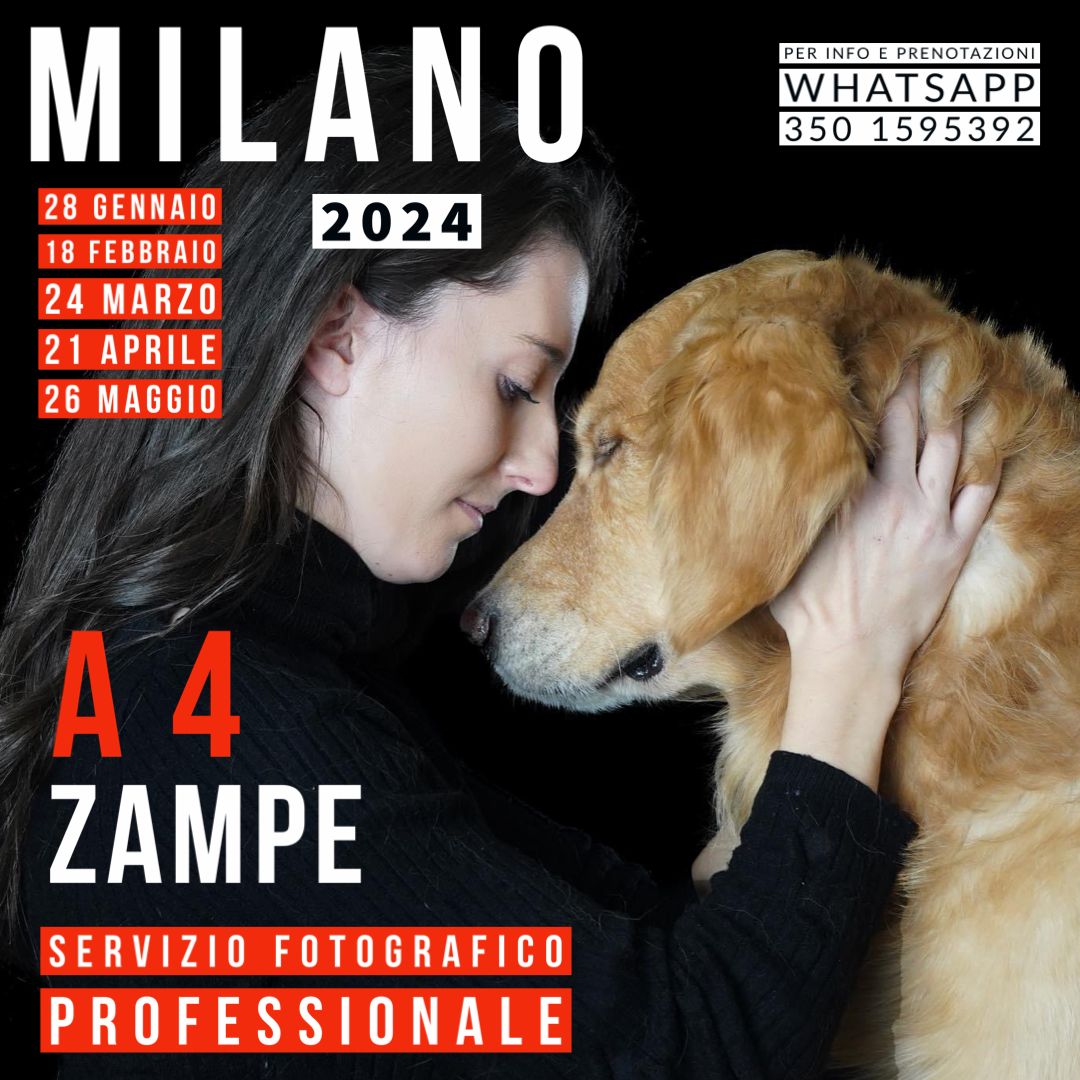 Milano a 4 zampe