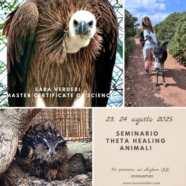 theta healing animali alghero sara verderi