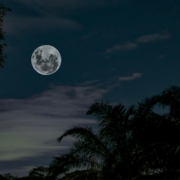 pexels-tomfisk-1716158 luna piena