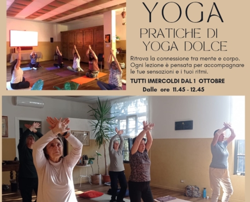 yoga milano elisabetta cerea lo studio di via curtatone