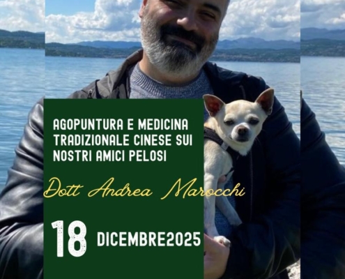 agopuntura moxa medicina tradizionale cinese veterinario andrea mocchi milano lo studio di via curtatone