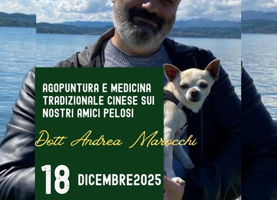 agopuntura moxa medicina tradizionale cinese veterinario andrea mocchi milano lo studio di via curtatone