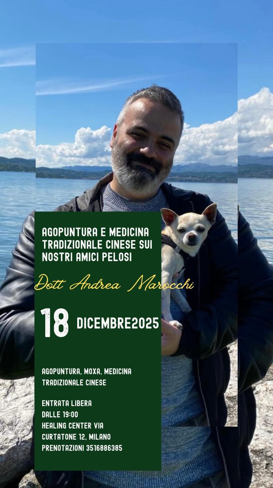 agopuntura moxa medicina tradizionale cinese veterinario andrea mocchi milano lo studio di via curtatone