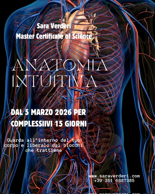 anatomia intuitiv atheta healing sara verderi milano