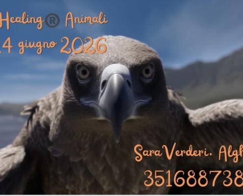 theta healing animali sara verderi alghero